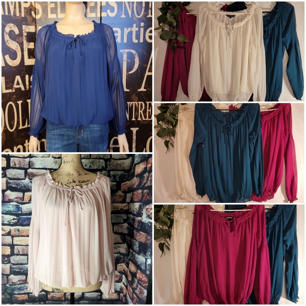 5 Express Sheer Tie Neck Pleated Sheer Tops